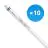 Multipack 10x Philips Tubo LED T5 MASTER (HF) High Efficiency 16.5W 2500lm - 840 Blanco Frio | 115cm - Reemplazo 28W