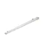 Philips Pantalla LED Estanca Pacific WT475C 81W 10700lm - 840 Blanco Frio | 180cm - Dali Regulable 